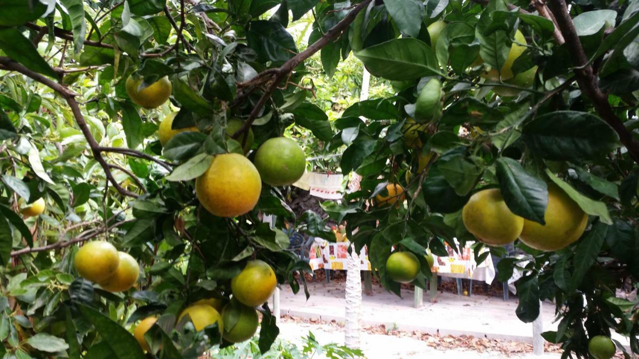 Vv - Casa Clary -Finca Medina Διαμέρισμα Alojera Εξωτερικό φωτογραφία